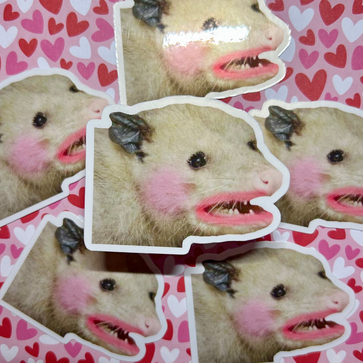 Pretty Possum Vinyl Sticker