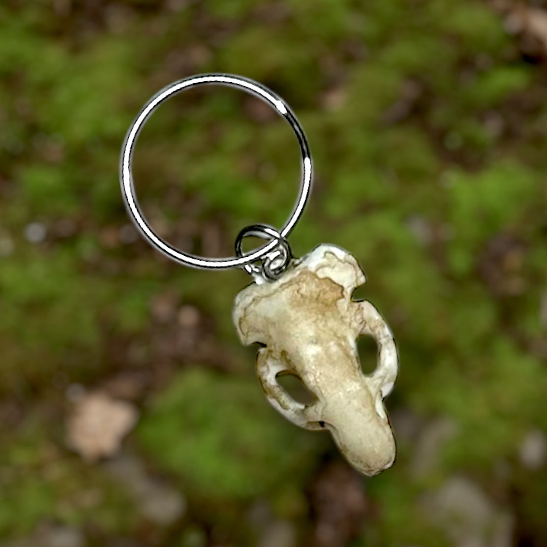Rat skull keychain on a blurred grassy background
