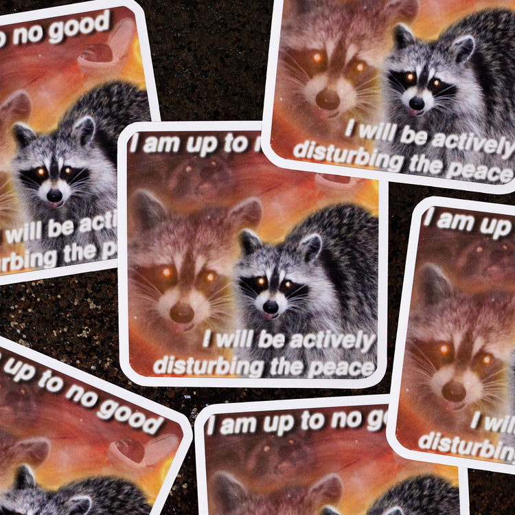 Disturbing the Peace Up to No Good raccoon vinyl sticker