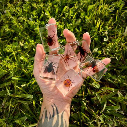 Hand holding several bug specimen keychains