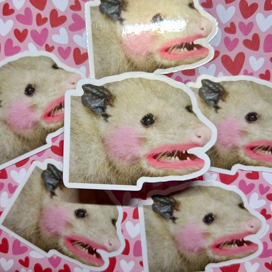 Pretty Possum Vinyl Sticker