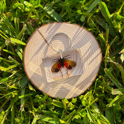 Bug specimen keychain on a wood slice in grass